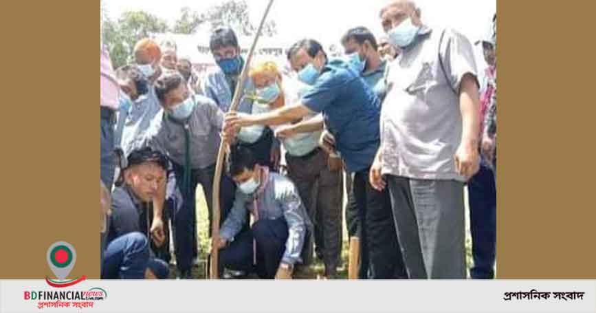 ঝিনাইগাতীতে স্কাউটসরা ৫০ বিদ্যালয়ে ২৫০ চারা রোপণ করলেন