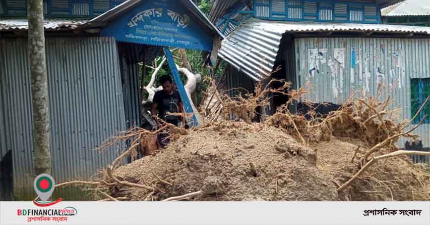 নালিতাবাড়ীতে ঘুর্ণিঝড়ে সরকারী গাছ পরে বসতঘর দ্বিখন্ডিত