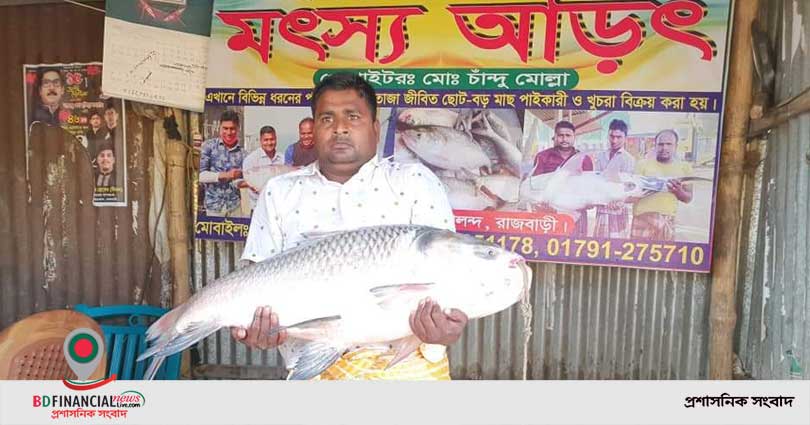 ১৮ কেজির কাতল মাছ বিক্রি হলো ২৫ হাজার টাকায়