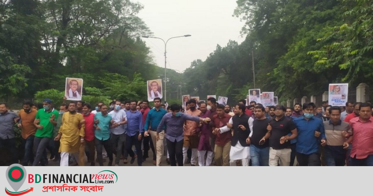 প্রধানমন্ত্রী ও জয় পুরস্কার পাওয়ায় ছাত্রলীগের আনন্দ মিছিল