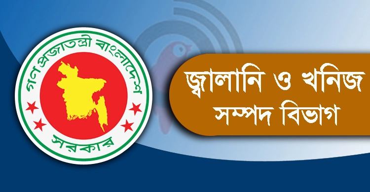গ্যাসের গন্ধ ছড়িয়ে পড়া নিয়ে যা বললো জ্বালানি বিভাগ