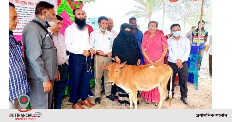 হত-দরিদ্রদের মাঝে ওয়ার্ল্ড ভিশনের বিনামূল্যে বকনা গরু বিতরণ