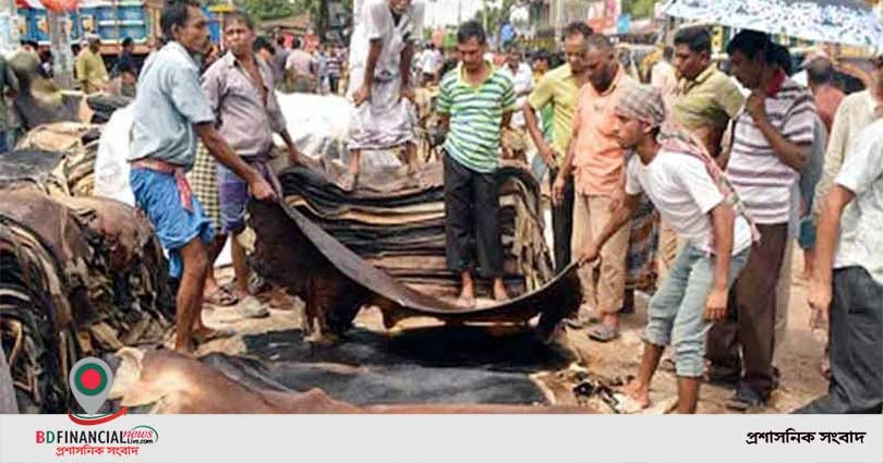 কোরবানির পশুর চামড়ার দাম নির্ধারণ : নির্ধারিত দর গত বছরের চেয়ে বেশি