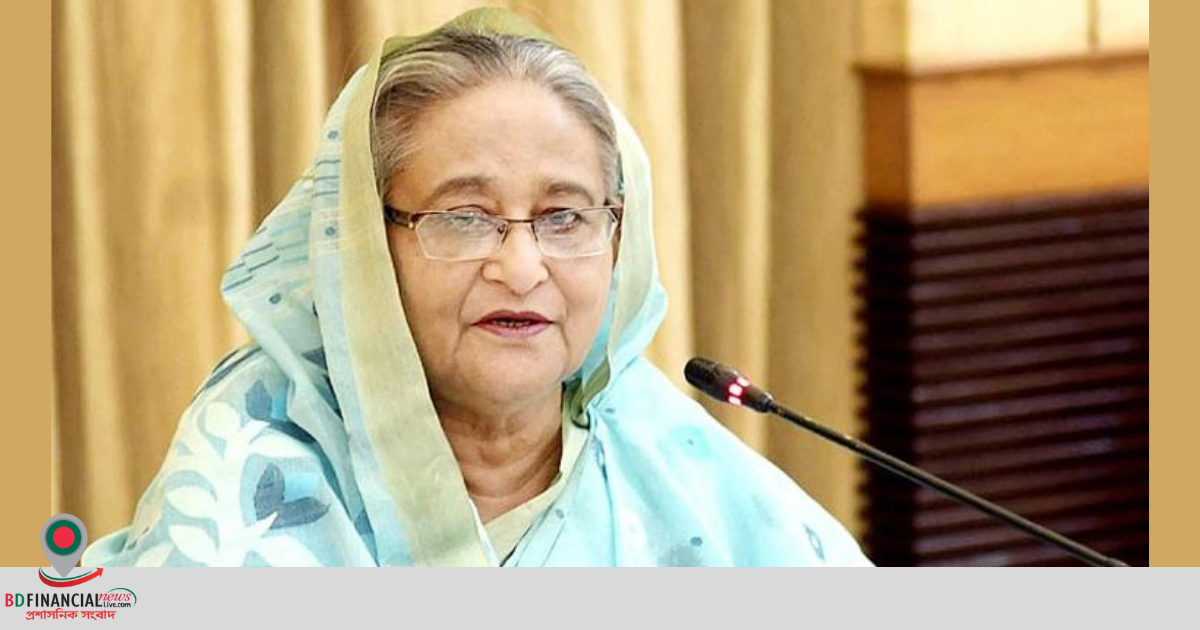 উন্নয়নশীল দেশের চ্যালেঞ্জ মোকাবিলায় আমরা প্রস্তুত: প্রধানমন্ত্রী