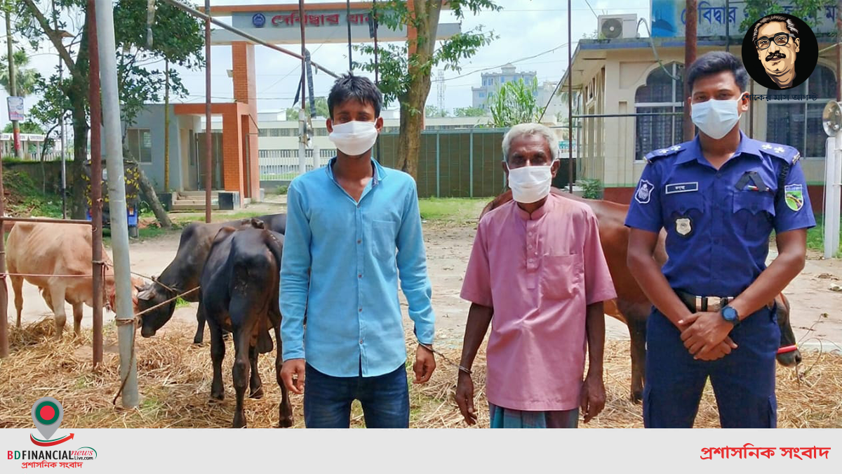 চোরাই ০৪টি  গরু উদ্ধারসহ ০২জন গরু চোর চক্রের সক্রিয় সদস্য গ্রেফতার করেছে কুমিল্লা জেলা পুলিশ