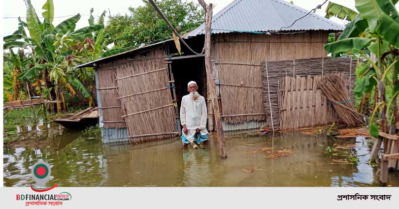গোপালগঞ্জে পানিতে ভাসছে মুক্তিযোদ্ধা চাঁন মিয়ার ঝুপড়ি ঘর