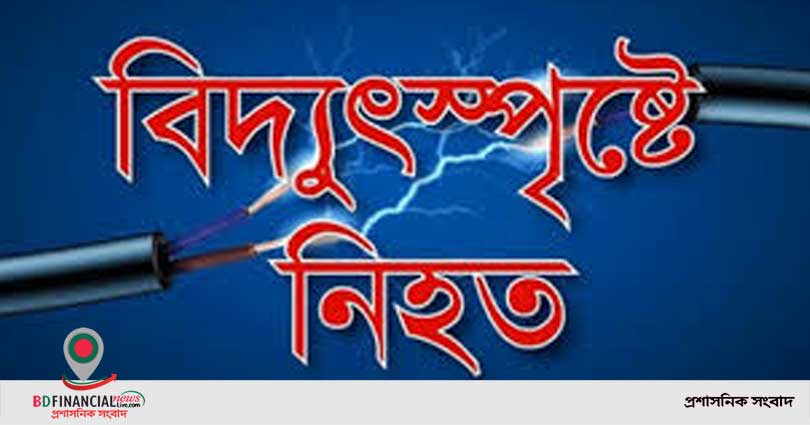 মাধবপুরে এক সাপ্তাহে বিদুৎপৃষ্ট হয়ে শিশুসহ ৫ জনের মৃত্যু