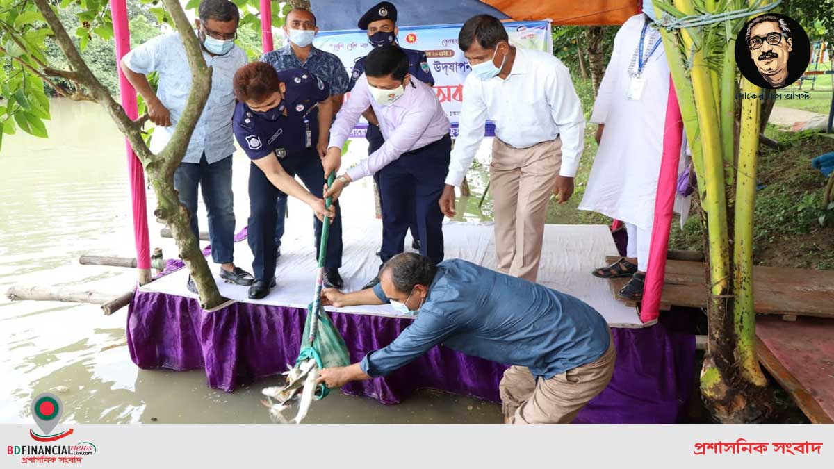 চুয়াডাঙ্গা মাথাভাঙ্গা নদীতে মাছের পোনা অবমুক্তি