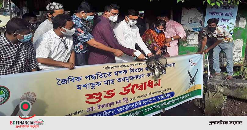 মশক নিধনে ড্রেনে মাছ অবমুক্ত করলেন মসিক মেয়র টিটু