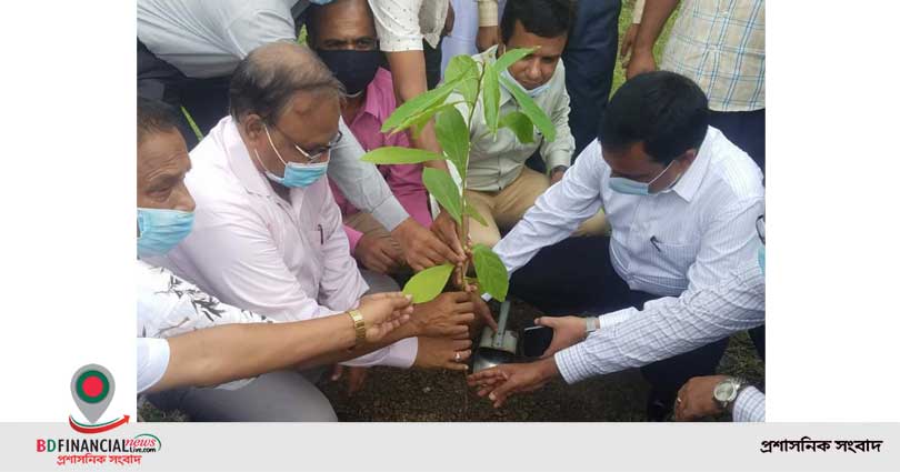 নাটোর চিনিকলে বৃক্ষরোপণ উদ্বোধন