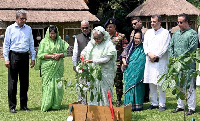 বেশি করে গাছ লাগানোর আহ্বান প্রধানমন্ত্রীর