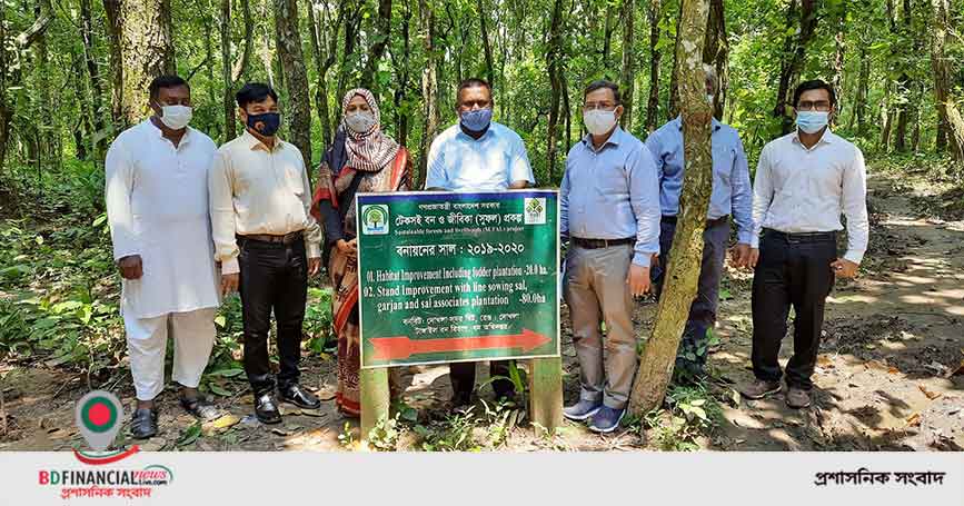 টাঙ্গাইলে বন্যপ্রাণী রক্ষায় বন বিভাগের নানা উদ্যোগ