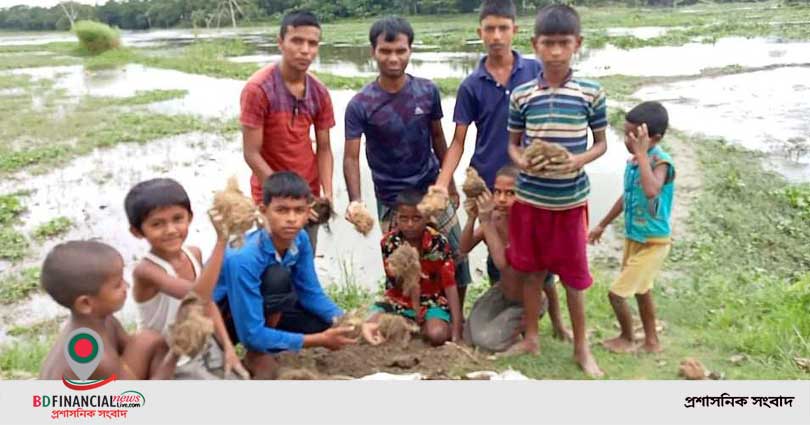 বজ্রপাত প্রতিরোধে স্বেচ্ছাশ্রমে তালের বীজ রোপন