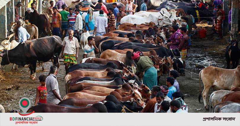 মহামারি বিবেচনায় ঢাকা দক্ষিণ সিটির তিন পশুরহাট বাতিল