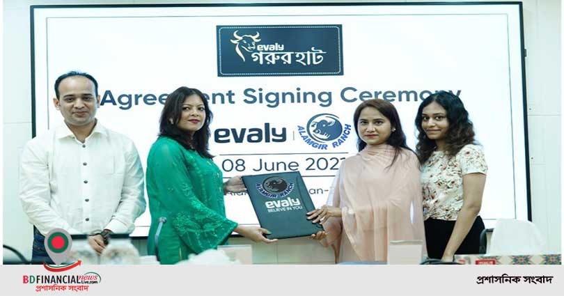 ইভ্যালি গরুর হাটে থাকছে দেশের অন্যতম প্রধান গরুর ফার্ম আলমগীর র‍্যাঞ্চের গরু