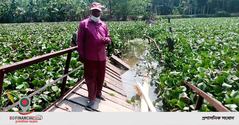 ভেঙ্গে পড়েছে জরাজীর্ণ পুল বিপাকে দু’পারের মানুষ