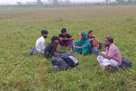 মহেশপুর সীমান্তে বিএসএফের পুশইনের চেষ্টা, বিজিবির প্রতিহত