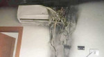 পুরান ঢাকায় সেলুনে এসি বিস্ফোরণ, দগ্ধ ১০