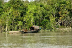 তিন মাস নিষেধাজ্ঞার পর আজ খুলেছে সুন্দরবন