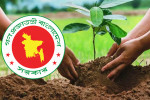 ২৫ কোটি গাছ রোপণের কার্বন ক্রেডিট বিক্রি করে বিলিয়ন ডলার আয় করতে পারে বাংলাদেশ