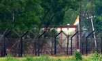 সীমান্তে টিকটক করতে গিয়ে বিএসএফের হাতে আটক দুই তরুণ