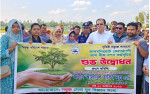 জীবন বাঁচাতে বৃক্ষের বিকল্প নেই: দুলু
